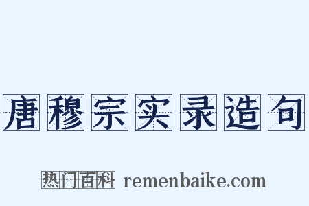 唐穆宗实录造句是什么意思的图片